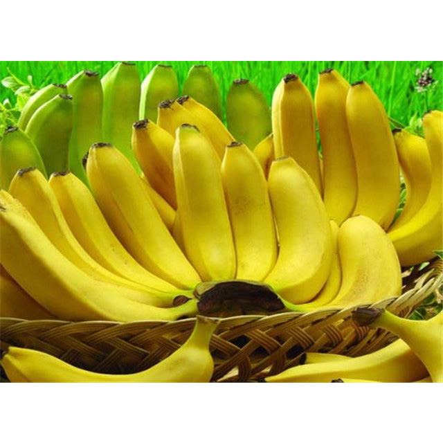 深圳市七亩地农产品贸易有限公司-香蕉