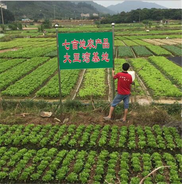 种植基地