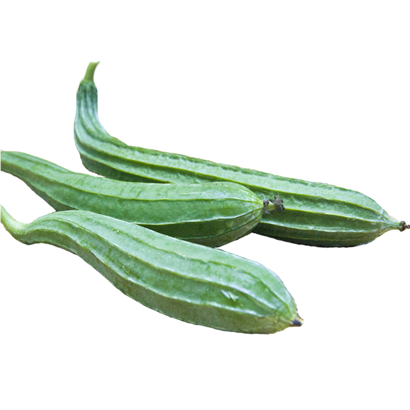 丝瓜 