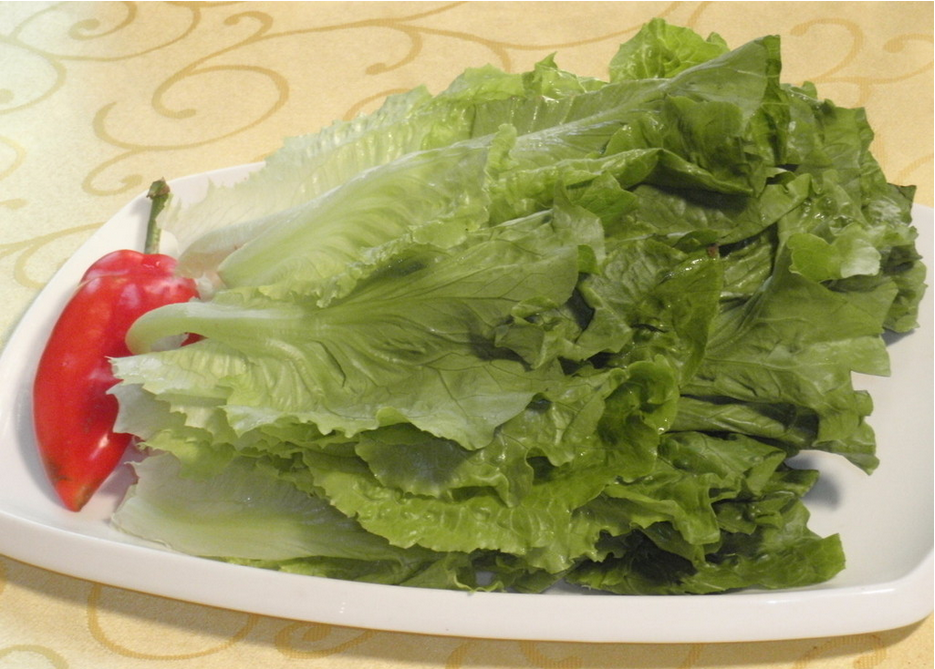 生菜